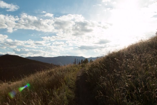 Coming up hill I saw this incredible light hitting the grasses and had to stop.
