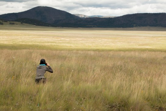 Michelle stalks her prey: subtle videos of grass blowing on the prairie.