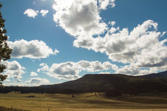 The park entrance promises great skies and open fields under dark mountain ranges with pinion and ponderosa pines.