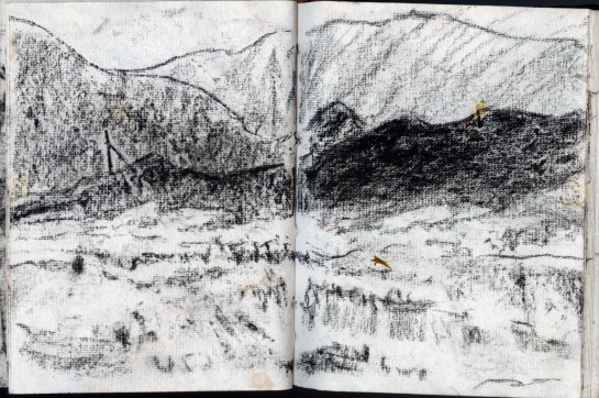 valles caldera vincent colvin 3